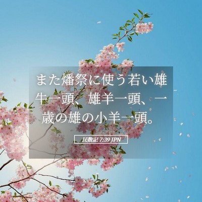 Picture 05 - 民数記 7:39 JPN - また燔祭に使う若い雄牛一頭、雄羊 - Bible Verse Picture