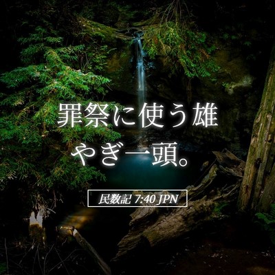 Picture 05 - 民数記 7:40 JPN - 罪祭に使う雄やぎ一頭。 - Bible Verse Picture