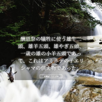 Picture 05 - 民数記 7:53 JPN - 酬恩祭の犠牲に使う雄牛二頭、雄羊 - Bible Verse Picture