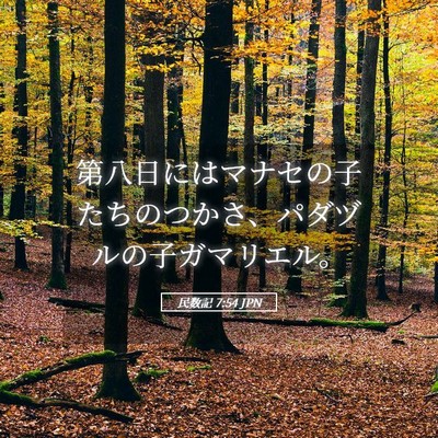 Picture 05 - 民数記 7:54 JPN - 第八日にはマナセの子たちのつかさ - Bible Verse Picture