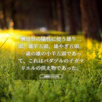 Picture 05 - 民数記 7:59 JPN - 酬恩祭の犠牲に使う雄牛二頭、雄羊 - Bible Verse Picture