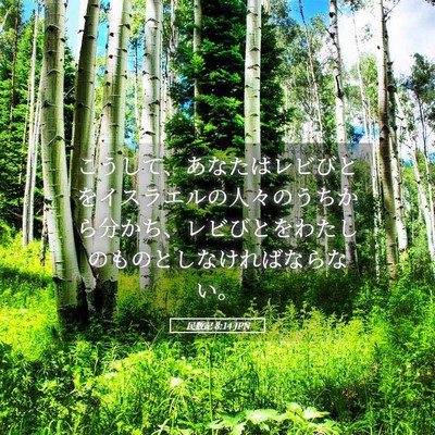 Picture 05 - 民数記 8:14 JPN - こうして、あなたはレビびとをイス - Bible Verse Picture