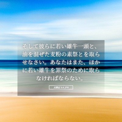 Picture 05 - 民数記 8:8 JPN - そして彼らに若い雄牛一頭と、油を - Bible Verse Picture