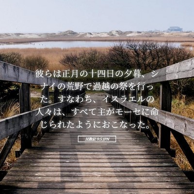 Picture 05 - 民数記 9:5 JPN - 彼らは正月の十四日の夕暮、シナイ - Bible Verse Picture