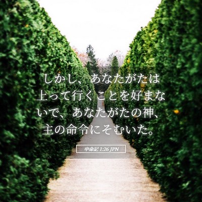 Picture 05 - 申命記 1:26 JPN - しかし、あなたがたは上って行くこ - Bible Verse Picture