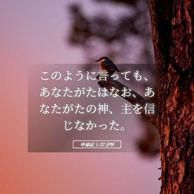 Picture 05 - 申命記 1:32 JPN - このように言っても、あなたがたは - Bible Verse Picture
