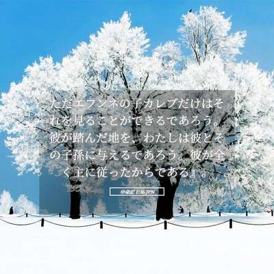 Picture 05 - 申命記 1:36 JPN - ただエフンネの子カレブだけはそれ - Bible Verse Picture