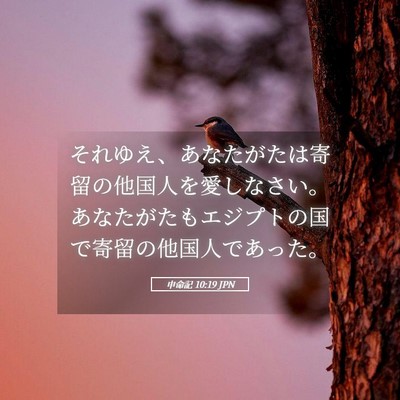 Picture 05 - 申命記 10:19 JPN - それゆえ、あなたがたは寄留の他国 - Bible Verse Picture