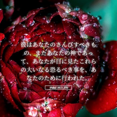 Picture 05 - 申命記 10:21 JPN - 彼はあなたのさんびすべきもの、ま - Bible Verse Picture