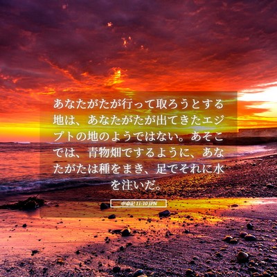 Picture 05 - 申命記 11:10 JPN - あなたがたが行って取ろうとする地 - Bible Verse Picture