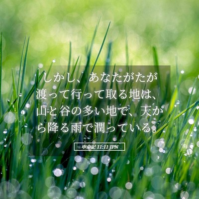 Picture 05 - 申命記 11:11 JPN - しかし、あなたがたが渡って行って - Bible Verse Picture