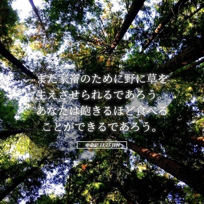 Picture 05 - 申命記 11:15 JPN - また家畜のために野に草を生えさせ - Bible Verse Picture