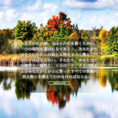 Picture 05 - 申命記 12:11 JPN - あなたがたの神、主はその名を置く - Bible Verse Picture