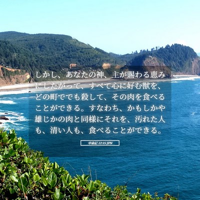 Picture 05 - 申命記 12:15 JPN - しかし、あなたの神、主が賜わる恵 - Bible Verse Picture