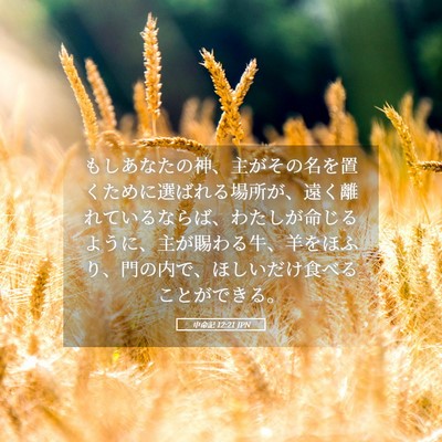 Picture 05 - 申命記 12:21 JPN - もしあなたの神、主がその名を置く - Bible Verse Picture