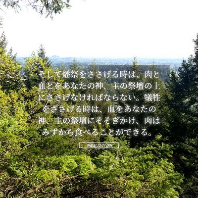 Picture 05 - 申命記 12:27 JPN - そして燔祭をささげる時は、肉と血 - Bible Verse Picture