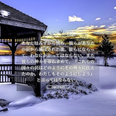 Picture 05 - 申命記 12:30 JPN - あなたはみずから慎み、彼らがあな - Bible Verse Picture