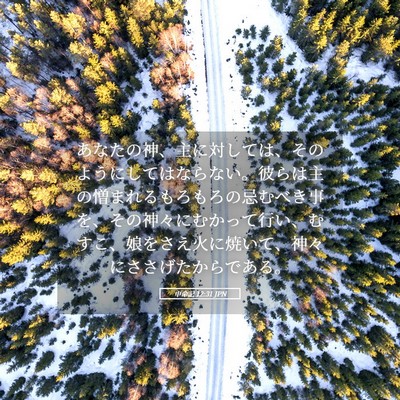 Picture 05 - 申命記 12:31 JPN - あなたの神、主に対しては、そのよ - Bible Verse Picture