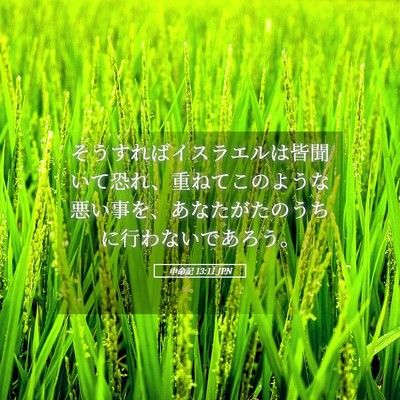 Picture 05 - 申命記 13:11 JPN - そうすればイスラエルは皆聞いて恐 - Bible Verse Picture