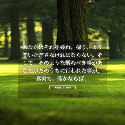 Picture 05 - 申命記 13:14 JPN - あなたはそれを尋ね、探り、よく問 - Bible Verse Picture