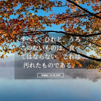 Picture 05 - 申命記 14:10 JPN - すべて、ひれと、うろこのないもの - Bible Verse Picture