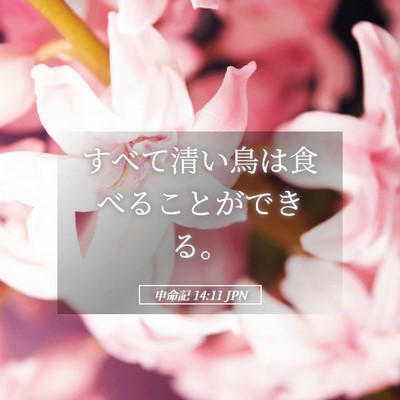 Picture 05 - 申命記 14:11 JPN - すべて清い鳥は食べることができる - Bible Verse Picture