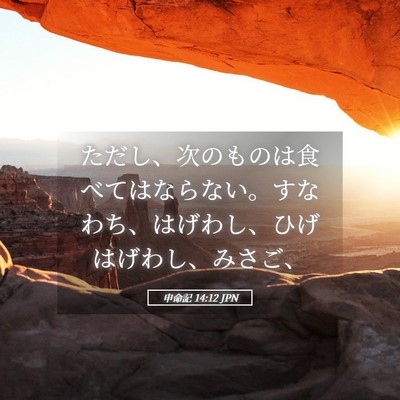 Picture 05 - 申命記 14:12 JPN - ただし、次のものは食べてはならな - Bible Verse Picture