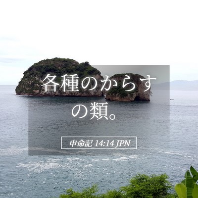 Picture 05 - 申命記 14:14 JPN - 各種のからすの類。 - Bible Verse Picture