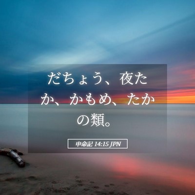 Picture 05 - 申命記 14:15 JPN - だちょう、夜たか、かもめ、たかの - Bible Verse Picture