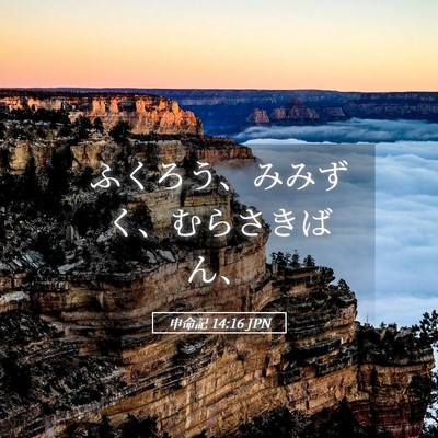 Picture 05 - 申命記 14:16 JPN - ふくろう、みみずく、むらさきばん - Bible Verse Picture
