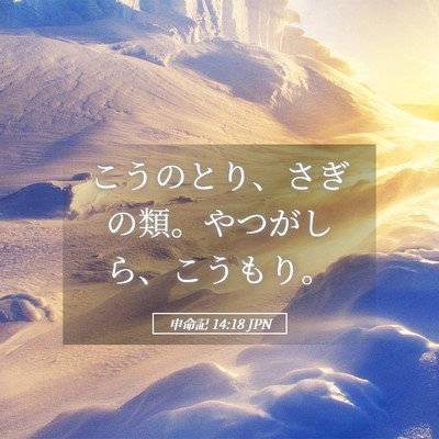 Picture 05 - 申命記 14:18 JPN - こうのとり、さぎの類。やつがしら - Bible Verse Picture