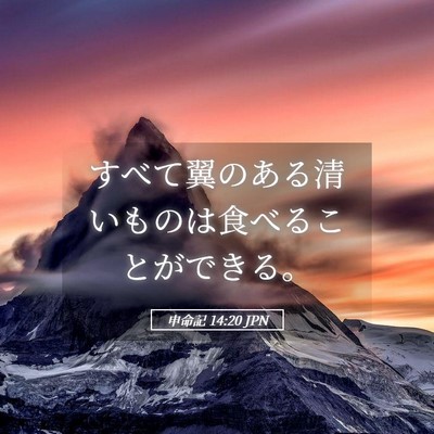 Picture 05 - 申命記 14:20 JPN - すべて翼のある清いものは食べるこ - Bible Verse Picture