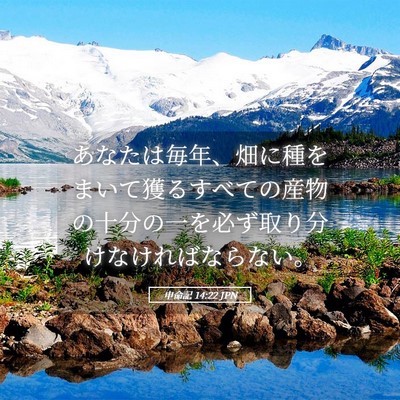 Picture 05 - 申命記 14:22 JPN - あなたは毎年、畑に種をまいて獲る - Bible Verse Picture