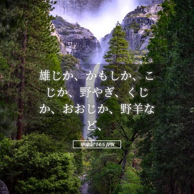 Picture 05 - 申命記 14:5 JPN - 雄じか、かもしか、こじか、野やぎ - Bible Verse Picture