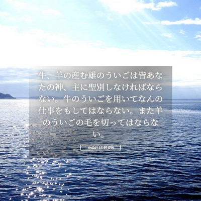 Picture 05 - 申命記 15:19 JPN - 牛、羊の産む雄のういごは皆あなた - Bible Verse Picture
