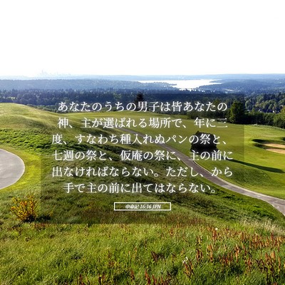 Picture 05 - 申命記 16:16 JPN - あなたのうちの男子は皆あなたの神 - Bible Verse Picture