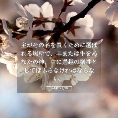 Picture 05 - 申命記 16:2 JPN - 主がその名を置くために選ばれる場 - Bible Verse Picture