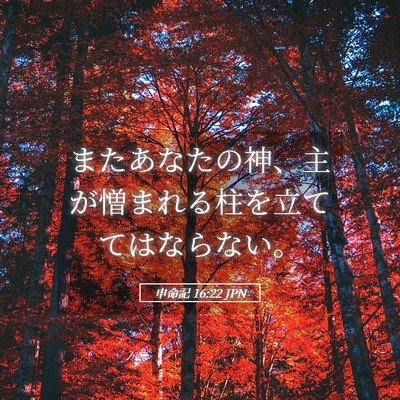 Picture 05 - 申命記 16:22 JPN - またあなたの神、主が憎まれる柱を - Bible Verse Picture