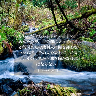 Picture 05 - 申命記 17:12 JPN - もし人がほしいままにふるまい、あ - Bible Verse Picture