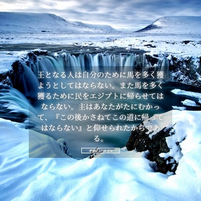 Picture 05 - 申命記 17:16 JPN - 王となる人は自分のために馬を多く - Bible Verse Picture