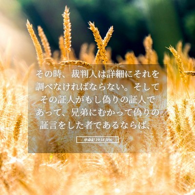 Picture 05 - 申命記 19:18 JPN - その時、裁判人は詳細にそれを調べ - Bible Verse Picture