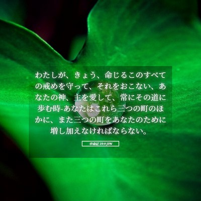 Picture 05 - 申命記 19:9 JPN - わたしが、きょう、命じるこのすべ - Bible Verse Picture