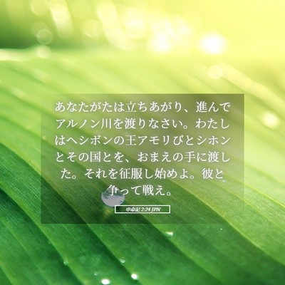 Picture 05 - 申命記 2:24 JPN - あなたがたは立ちあがり、進んでア - Bible Verse Picture