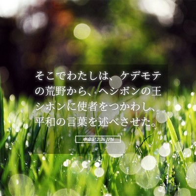 Picture 05 - 申命記 2:26 JPN - そこでわたしは、ケデモテの荒野か - Bible Verse Picture