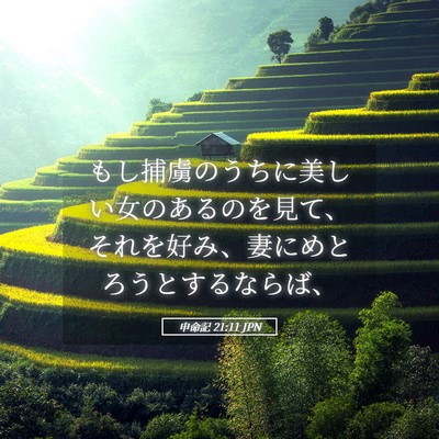 Picture 05 - 申命記 21:11 JPN - もし捕虜のうちに美しい女のあるの - Bible Verse Picture