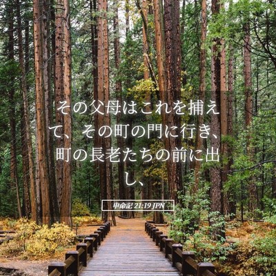 Picture 05 - 申命記 21:19 JPN - その父母はこれを捕えて、その町の - Bible Verse Picture