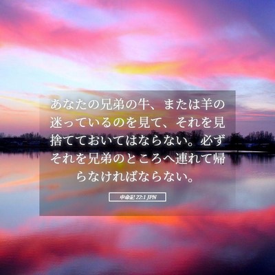 Picture 05 - 申命記 22:1 JPN - あなたの兄弟の牛、または羊の迷っ - Bible Verse Picture