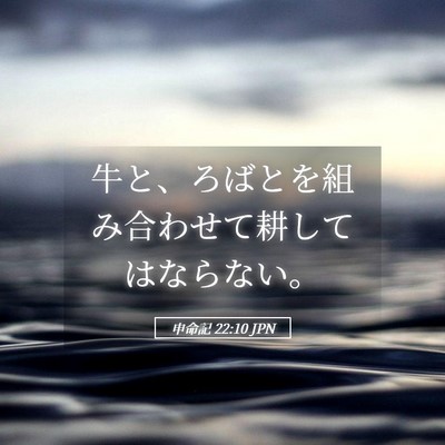 Picture 05 - 申命記 22:10 JPN - 牛と、ろばとを組み合わせて耕して - Bible Verse Picture