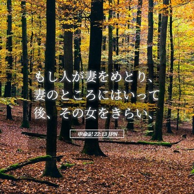 Picture 05 - 申命記 22:13 JPN - もし人が妻をめとり、妻のところに - Bible Verse Picture