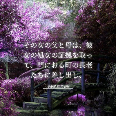 Picture 05 - 申命記 22:15 JPN - その女の父と母は、彼女の処女の証 - Bible Verse Picture
